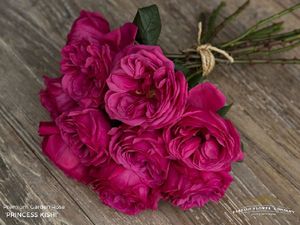 ROSE PRINCESS SUKI KE